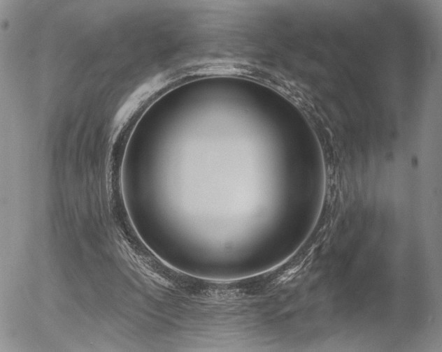 X0000054360296200507291028