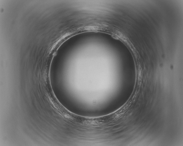 X0000054360297200507291028
