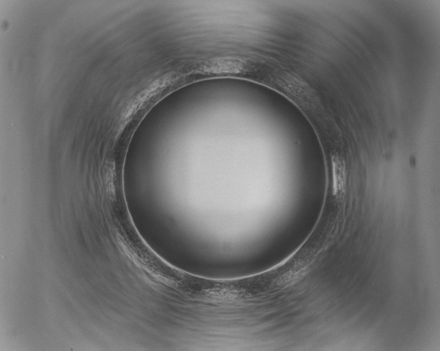 X0000054360300200507291028