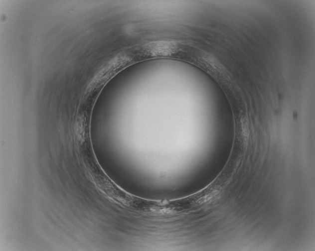 X0000054360311200507291028