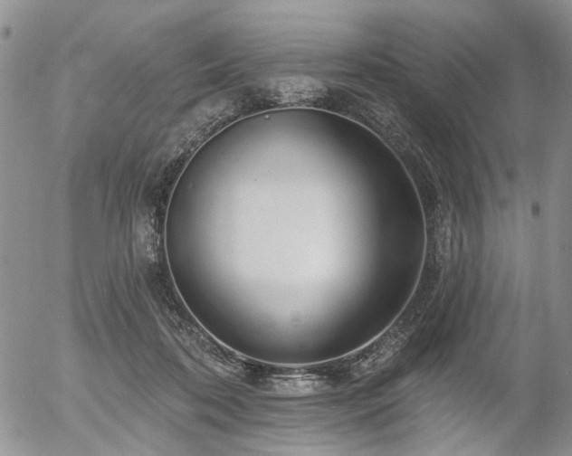 X0000054360316200507291028