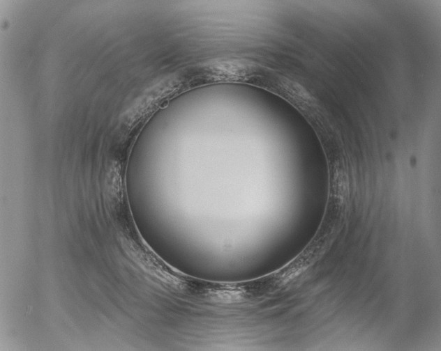 X0000054360318200507291028