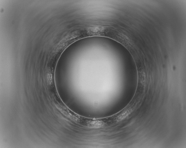 X0000054360324200507291028