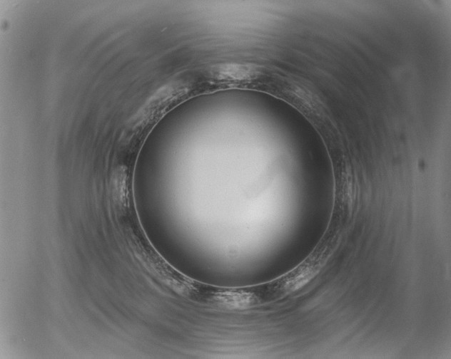 X0000054360328200507291028