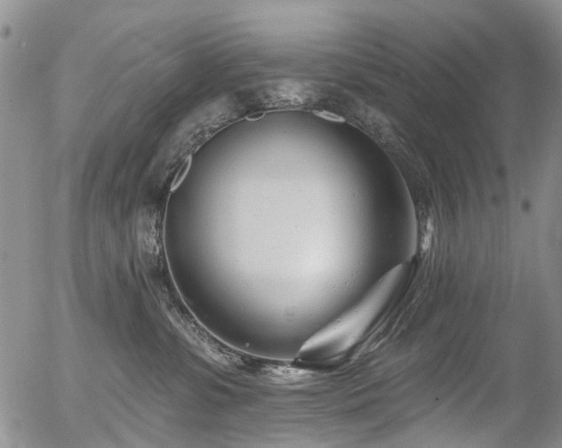 X0000054360331200507291028