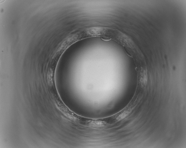 X0000054360332200507291028