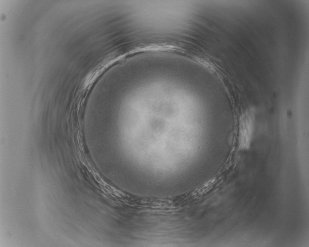 X0000054360337200507291027