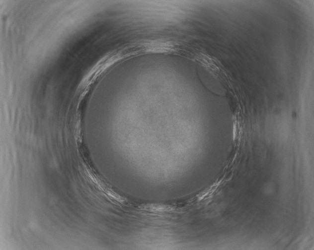 X0000054360339200507291027