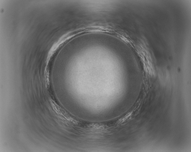 X0000054360343200507291027