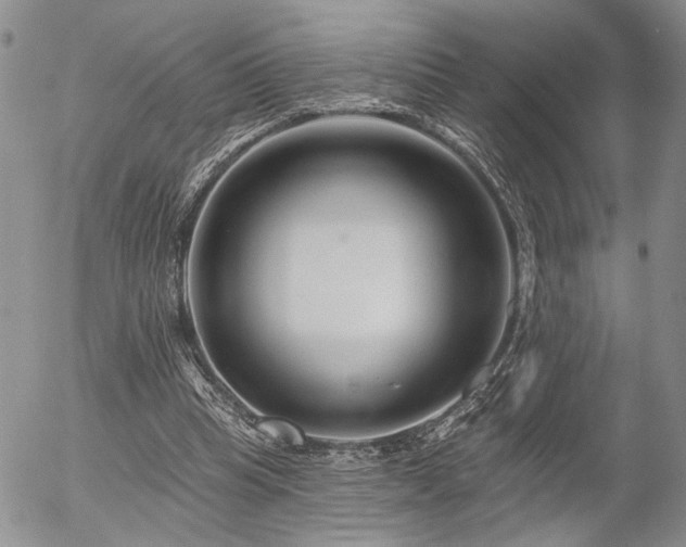 X0000054360345200507291027