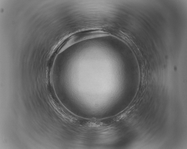 X0000054360346200507291027