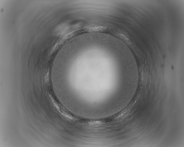 X0000054360357200507291027