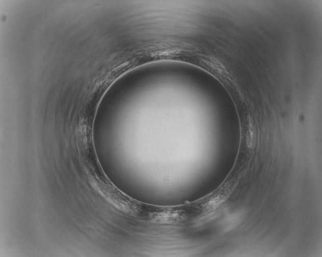 X0000054360366200507291027