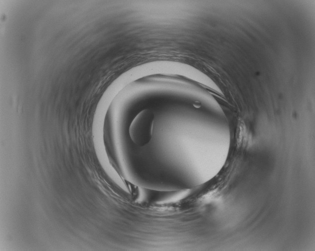 X0000054360380200507291027