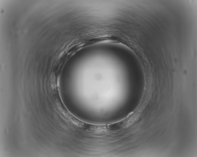 X0000054360384200507291028
