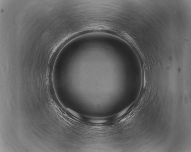 X0000054360387200507291027