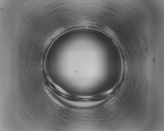 X0000054360389200507291027