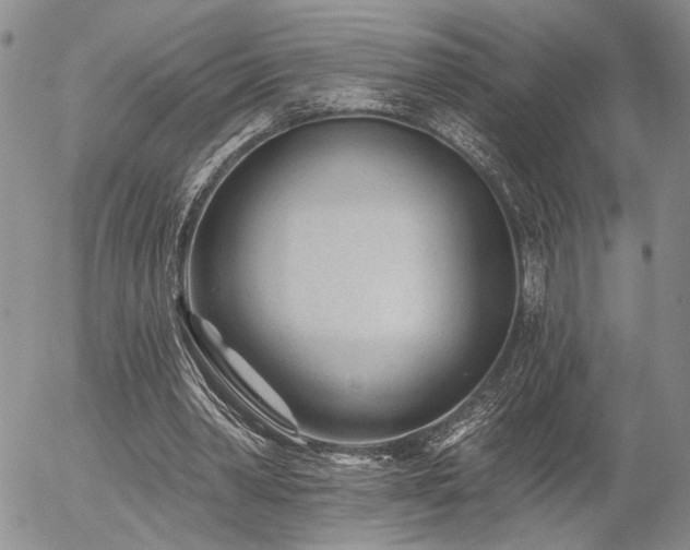 X0000054360390200507291027