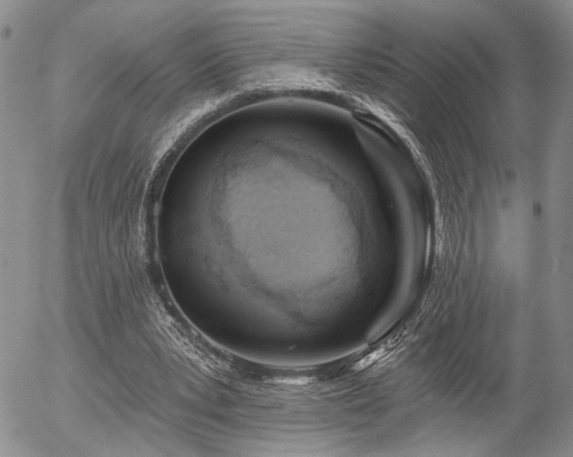 X0000054360391200507291027
