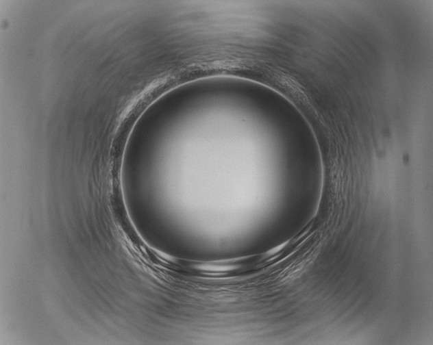 X0000054360395200507291027
