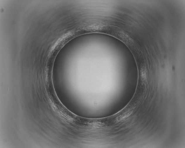 X0000054360396200507291027