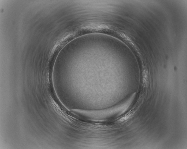 X0000054360399200507291027