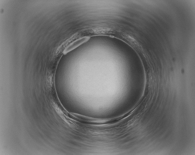 X0000054360405200507291026