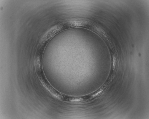 X0000054360410200507291026