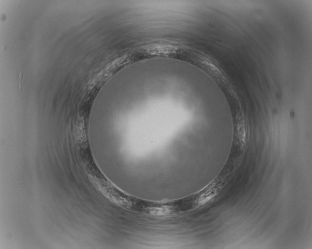 X0000054360411200507291026