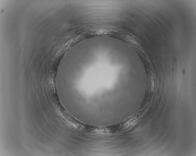 X0000054360415200507291026