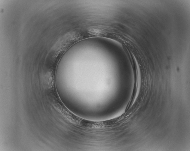 X0000054360420200507291026