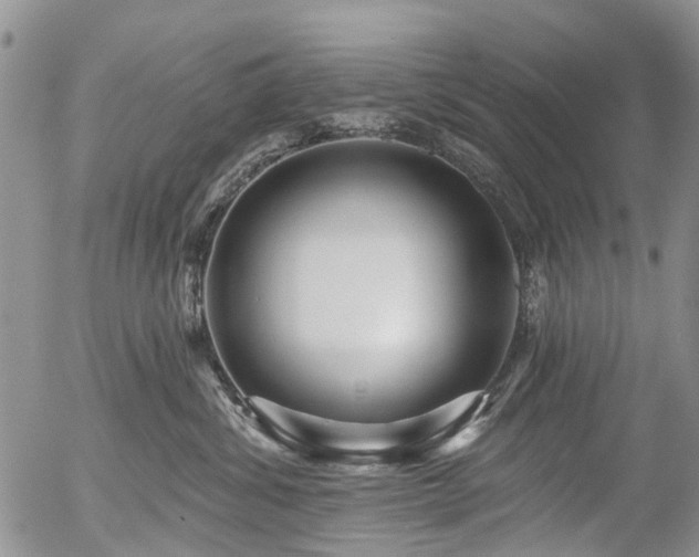 X0000054360428200507291026