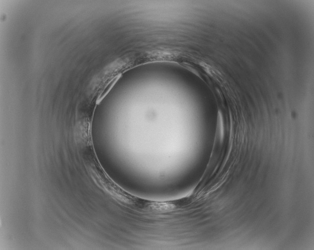 X0000054360429200507291026