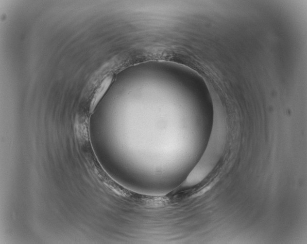X0000054360432200507291026