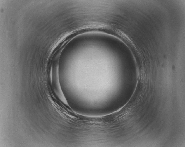 X0000054360436200507291025