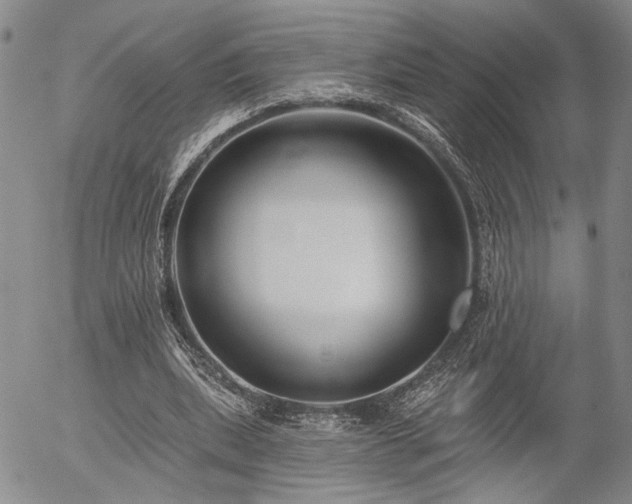 X0000054360439200507291025