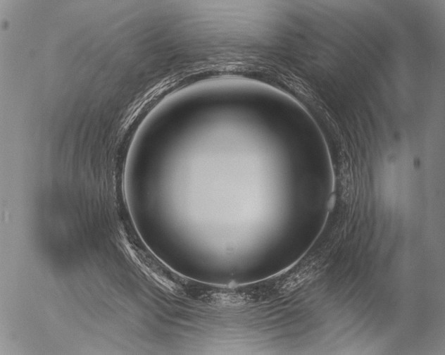 X0000054360442200507291025