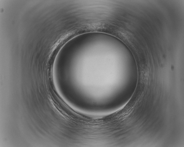 X0000054360443200507291025