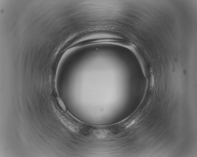 X0000054360444200507291025