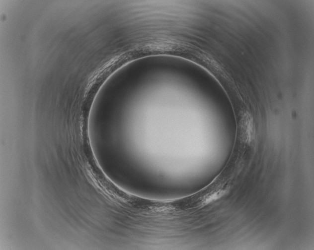 X0000054360446200507291025