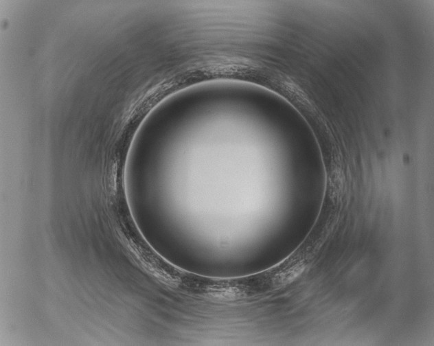 X0000054360454200507291026