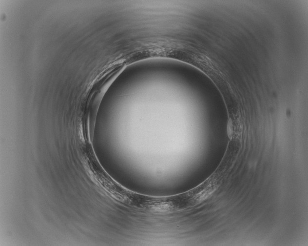 X0000054360456200507291026