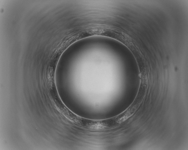 X0000054360460200507291026
