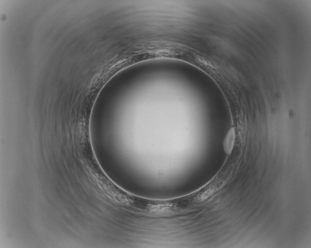 X0000054360461200507291026