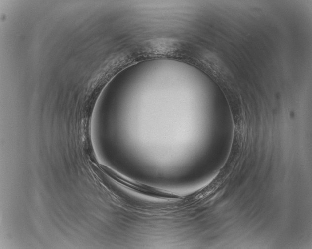X0000054360462200507291026