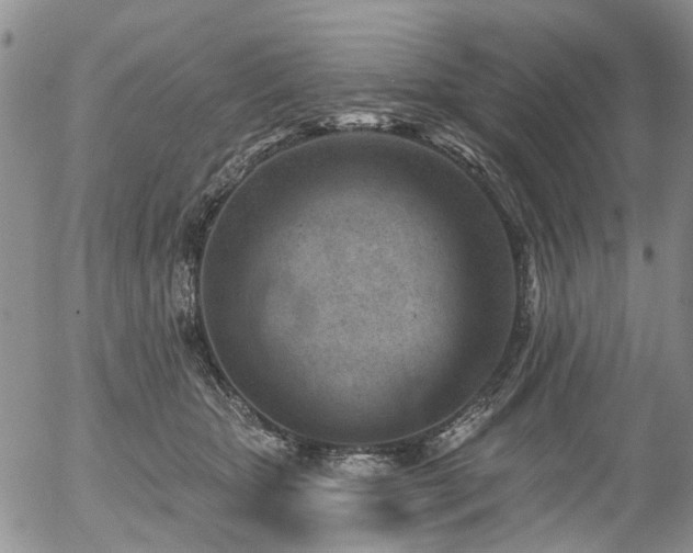 X0000054360467200507291026