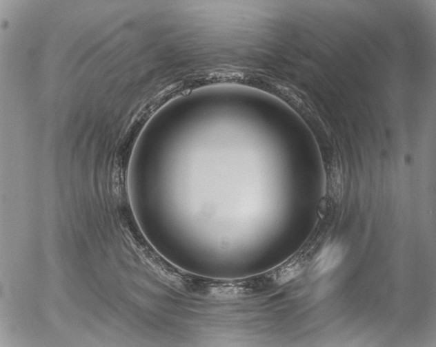 X0000054360470200507291026