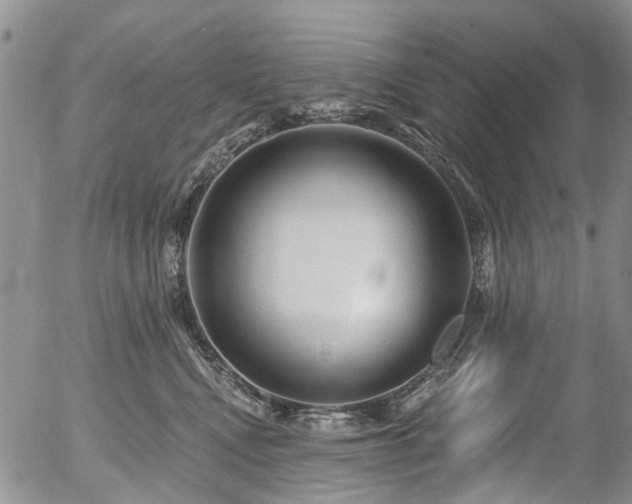 X0000054360472200507291026