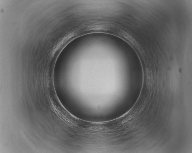 X0000054360482200507291025