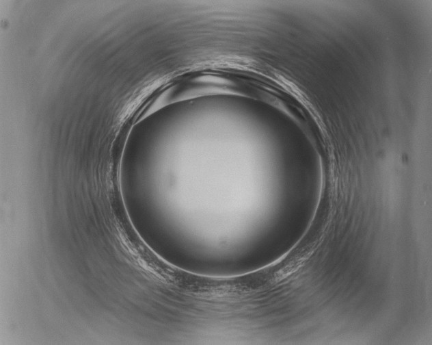 X0000054360485200507291025